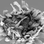 0C732C4F-894D-4AD5-B53C-766746B194A8