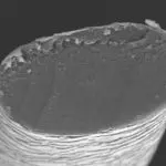 485DB11D-D07D-420D-AA89-FB5ED2263075