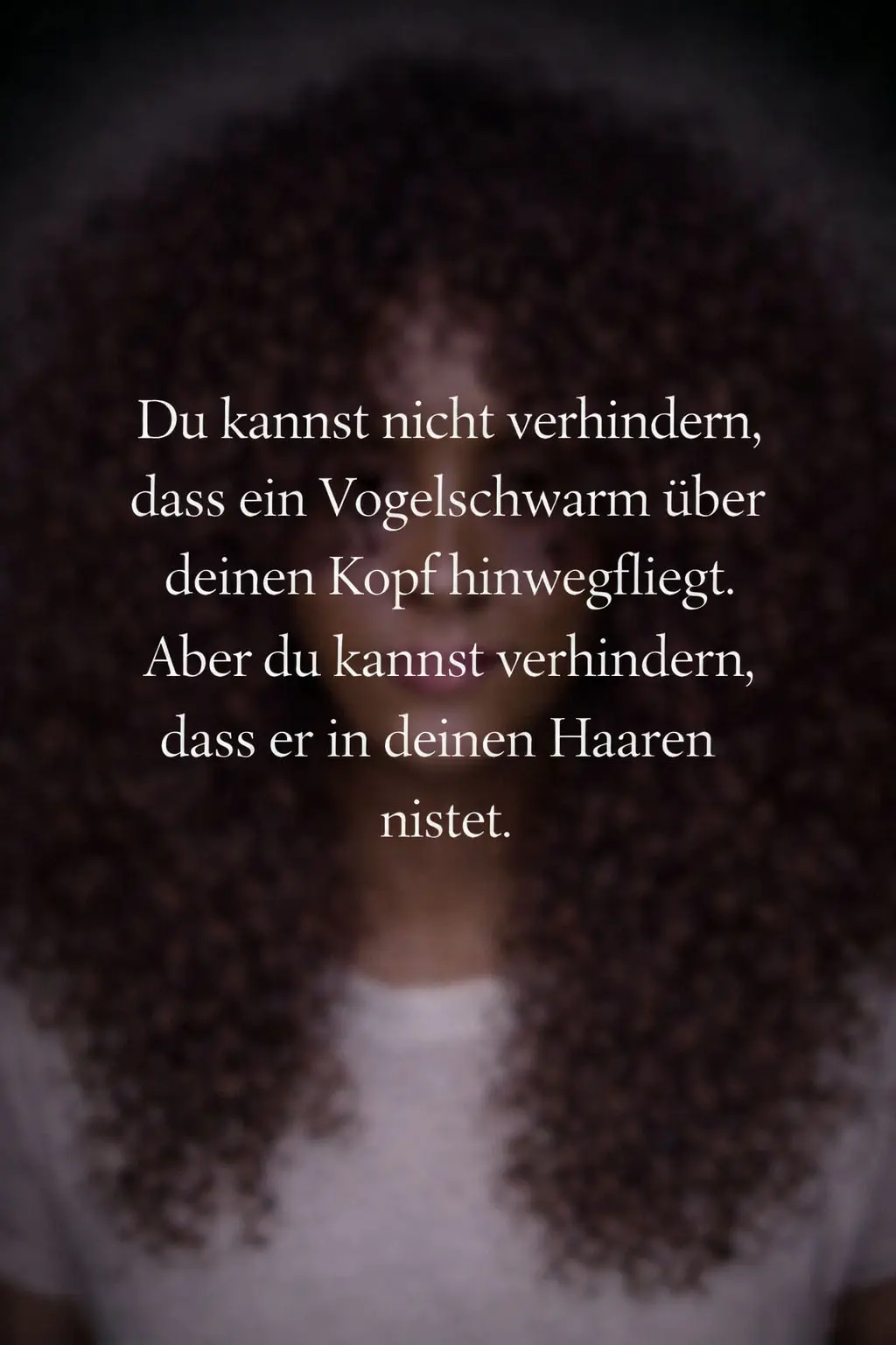 lockenwerkstadt-grefrath-cut74 Du kannst nicht verhindern, dass ein Vogelschwarm über deinen Kopf hinwegfliegt. Aber du kannst verhindern, dass er in deinen Haaren nistet.
